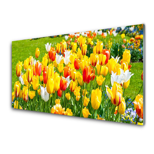 Glasbillede Tulipaner Blomster Natur