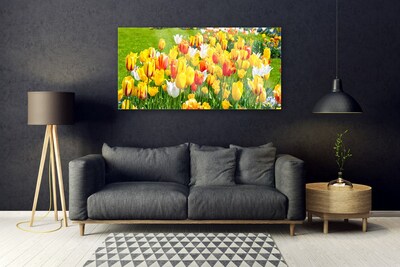 Glasbillede Tulipaner Blomster Natur