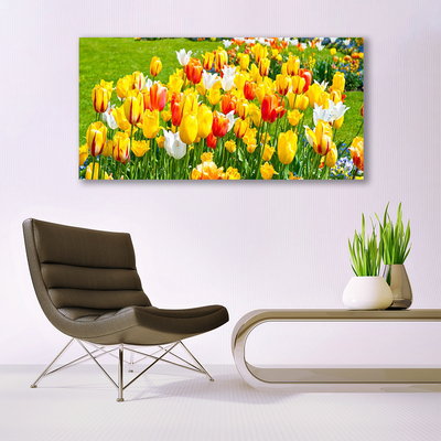 Glasbillede Tulipaner Blomster Natur