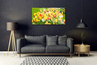 Glasbillede Tulipaner Blomster Natur