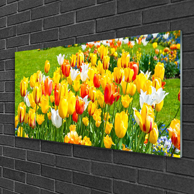 Glasbillede Tulipaner Blomster Natur