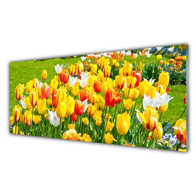 Glasbillede Tulipaner Blomster Natur