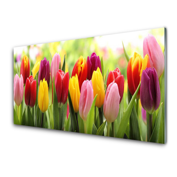 Glas billede Tulipaner Blomster Natur