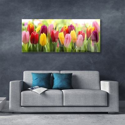 Glas billede Tulipaner Blomster Natur