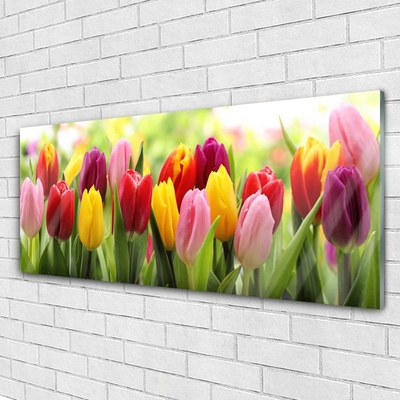 Glas billede Tulipaner Blomster Natur