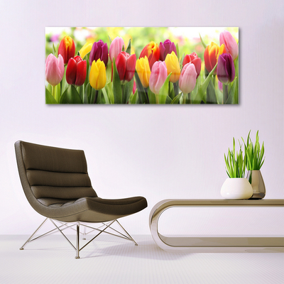 Glas billede Tulipaner Blomster Natur