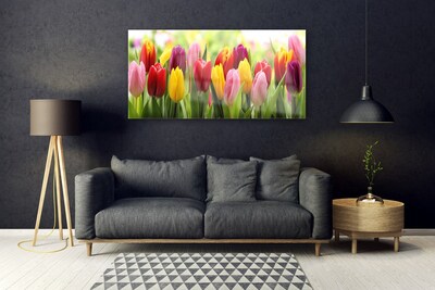 Glas billede Tulipaner Blomster Natur