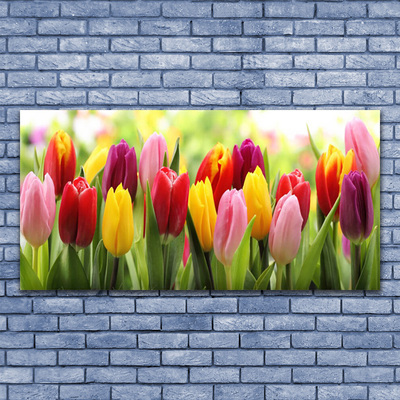 Glas billede Tulipaner Blomster Natur