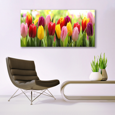 Glas billede Tulipaner Blomster Natur