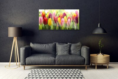 Glas billede Tulipaner Blomster Natur