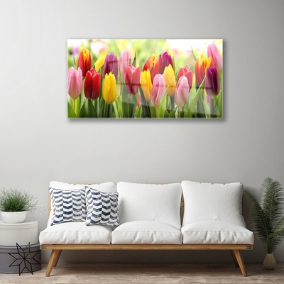 Glas billede Tulipaner Blomster Natur