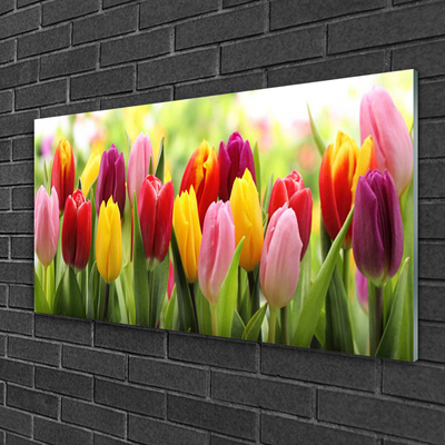 Glas billede Tulipaner Blomster Natur