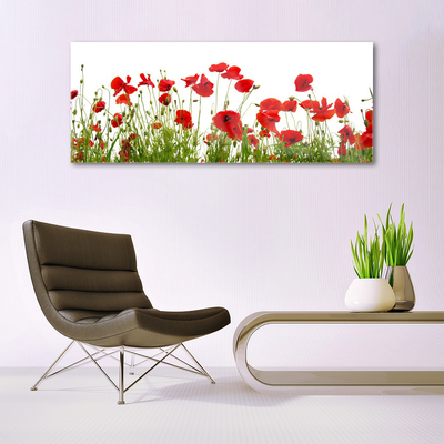 Billede glas Valmuer Natur blomster Plante