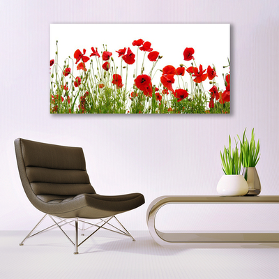 Billede glas Valmuer Natur blomster Plante