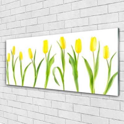 Print på glas Gule tulipaner Blomster