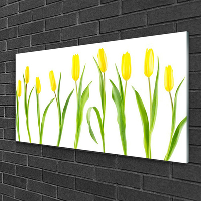 Print på glas Gule tulipaner Blomster