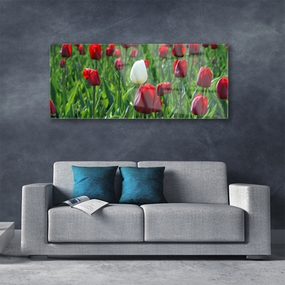 Glasfoto Tulipaner Blomster Natur