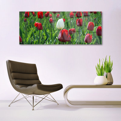 Glasfoto Tulipaner Blomster Natur