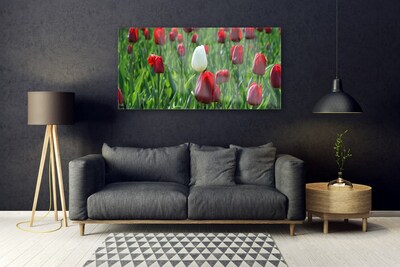 Glasfoto Tulipaner Blomster Natur