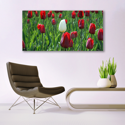 Glasfoto Tulipaner Blomster Natur