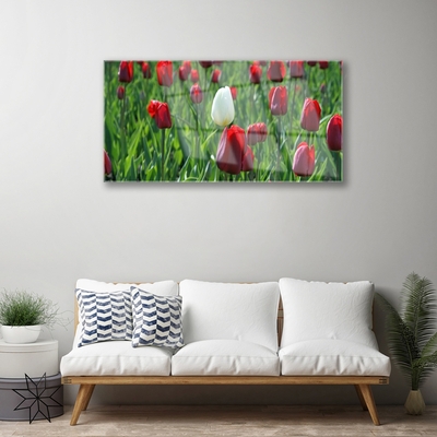 Glasfoto Tulipaner Blomster Natur