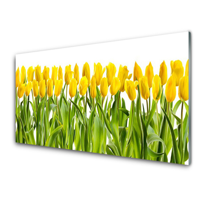 Glasfoto Tulipaner Blomst Natur