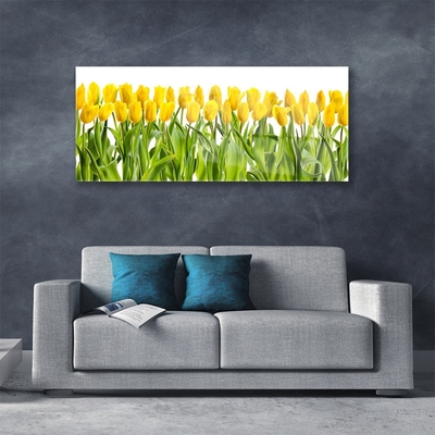 Glasfoto Tulipaner Blomst Natur