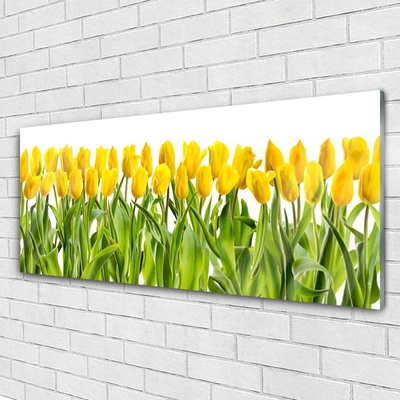 Glasfoto Tulipaner Blomst Natur