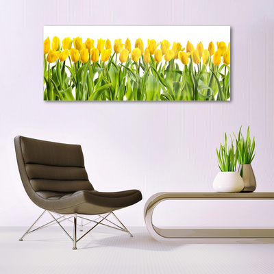 Glasfoto Tulipaner Blomst Natur