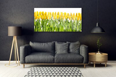 Glasfoto Tulipaner Blomst Natur