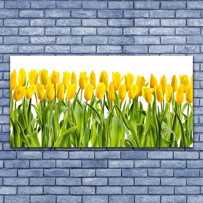 Glasfoto Tulipaner Blomst Natur