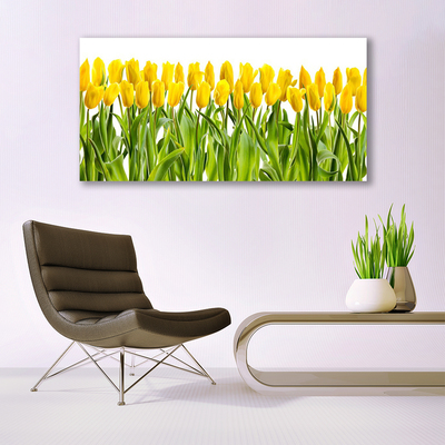 Glasfoto Tulipaner Blomst Natur