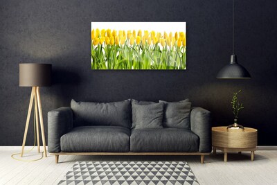 Glasfoto Tulipaner Blomst Natur