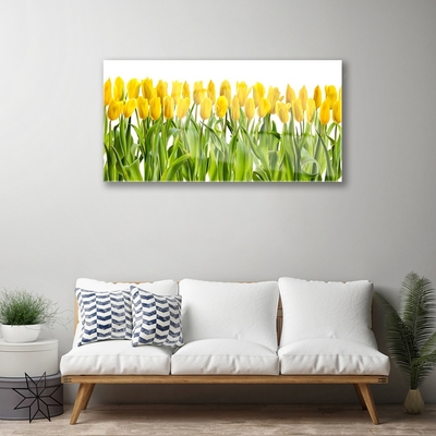 Glasfoto Tulipaner Blomst Natur