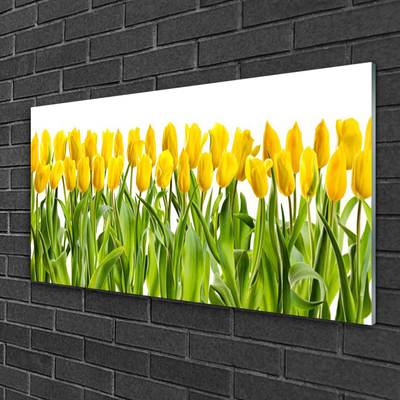 Glasfoto Tulipaner Blomst Natur