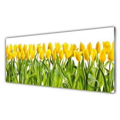 Glasfoto Tulipaner Blomst Natur