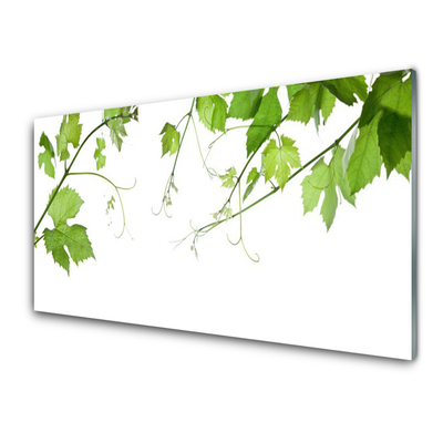 Glasfoto Grene Blade Natur Blomster