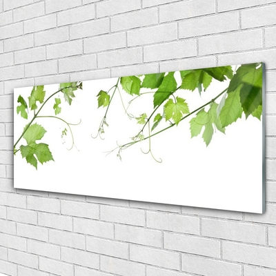 Glasfoto Grene Blade Natur Blomster