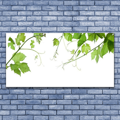 Glasfoto Grene Blade Natur Blomster