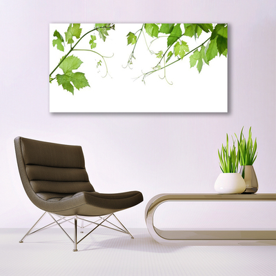 Glasfoto Grene Blade Natur Blomster