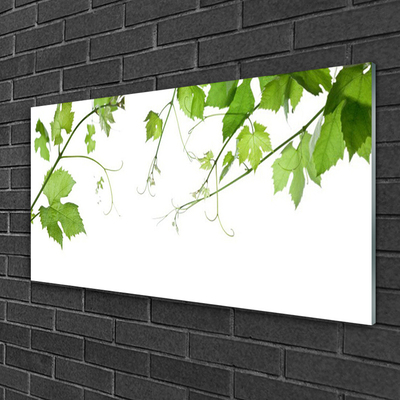 Glasfoto Grene Blade Natur Blomster