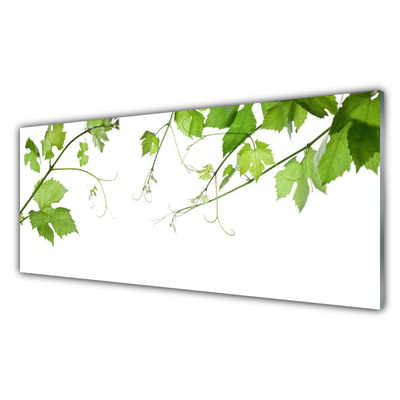 Glasfoto Grene Blade Natur Blomster