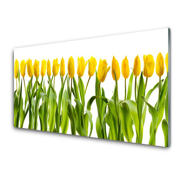 Billede på glas Tulipaner Blomster Natur