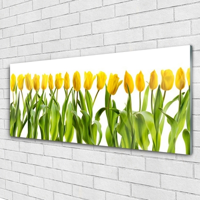 Billede på glas Tulipaner Blomster Natur