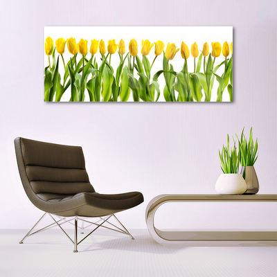 Billede på glas Tulipaner Blomster Natur