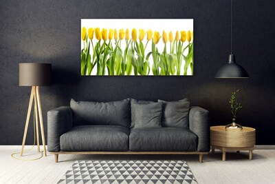 Billede på glas Tulipaner Blomster Natur