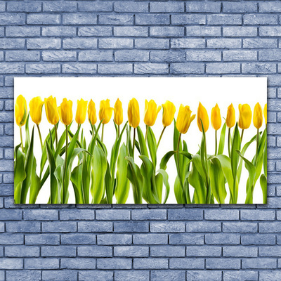 Billede på glas Tulipaner Blomster Natur