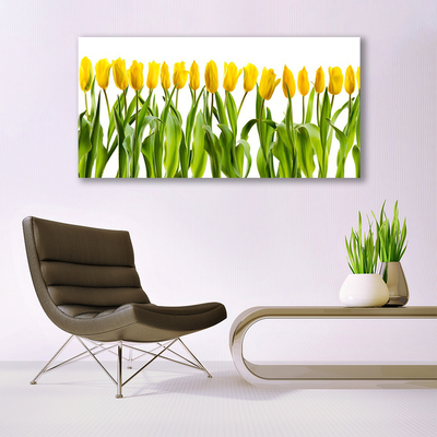 Billede på glas Tulipaner Blomster Natur