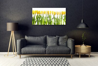 Billede på glas Tulipaner Blomster Natur