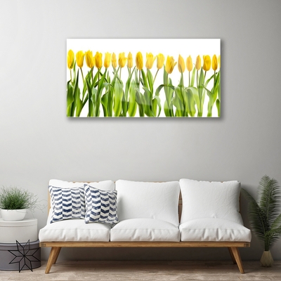 Billede på glas Tulipaner Blomster Natur